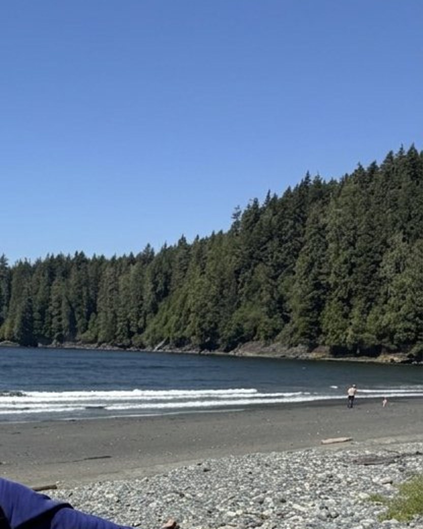 Forested shoreline and calm water on the B.C. coast